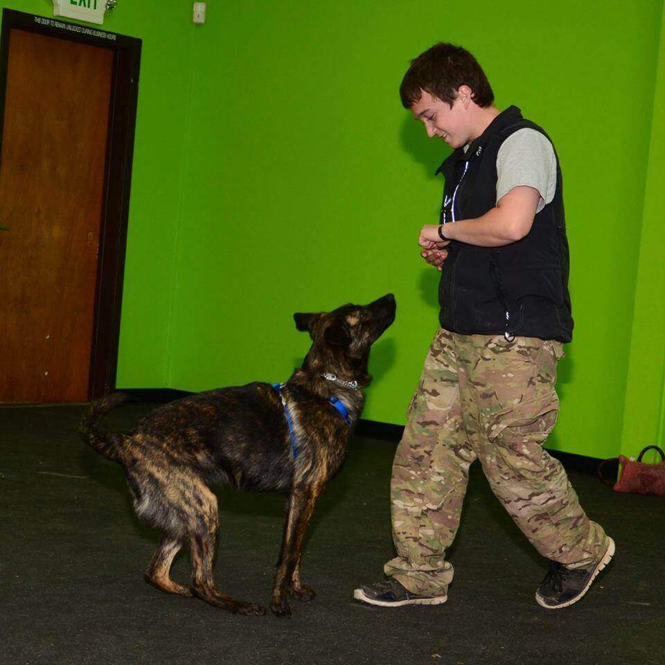 A man walking with his dog in the room