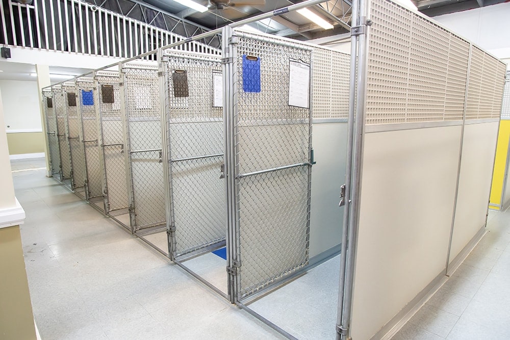 dog boarding kennel