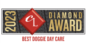 A red diamond award with the words 